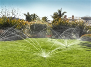  造雾设备  漂浮喷泉