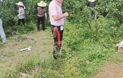 爱丽斯工具助力果园修剪培训