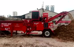 珠海市 台风灾后清理