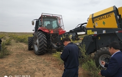 2019年，内蒙奈吉牧草有限公司，采购一台Anderson柠条平茬机